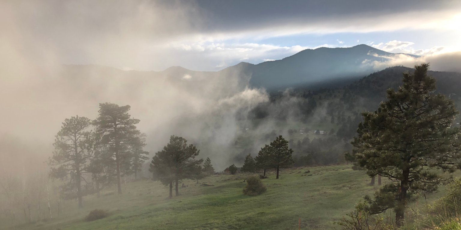 Evening mist over the canyon