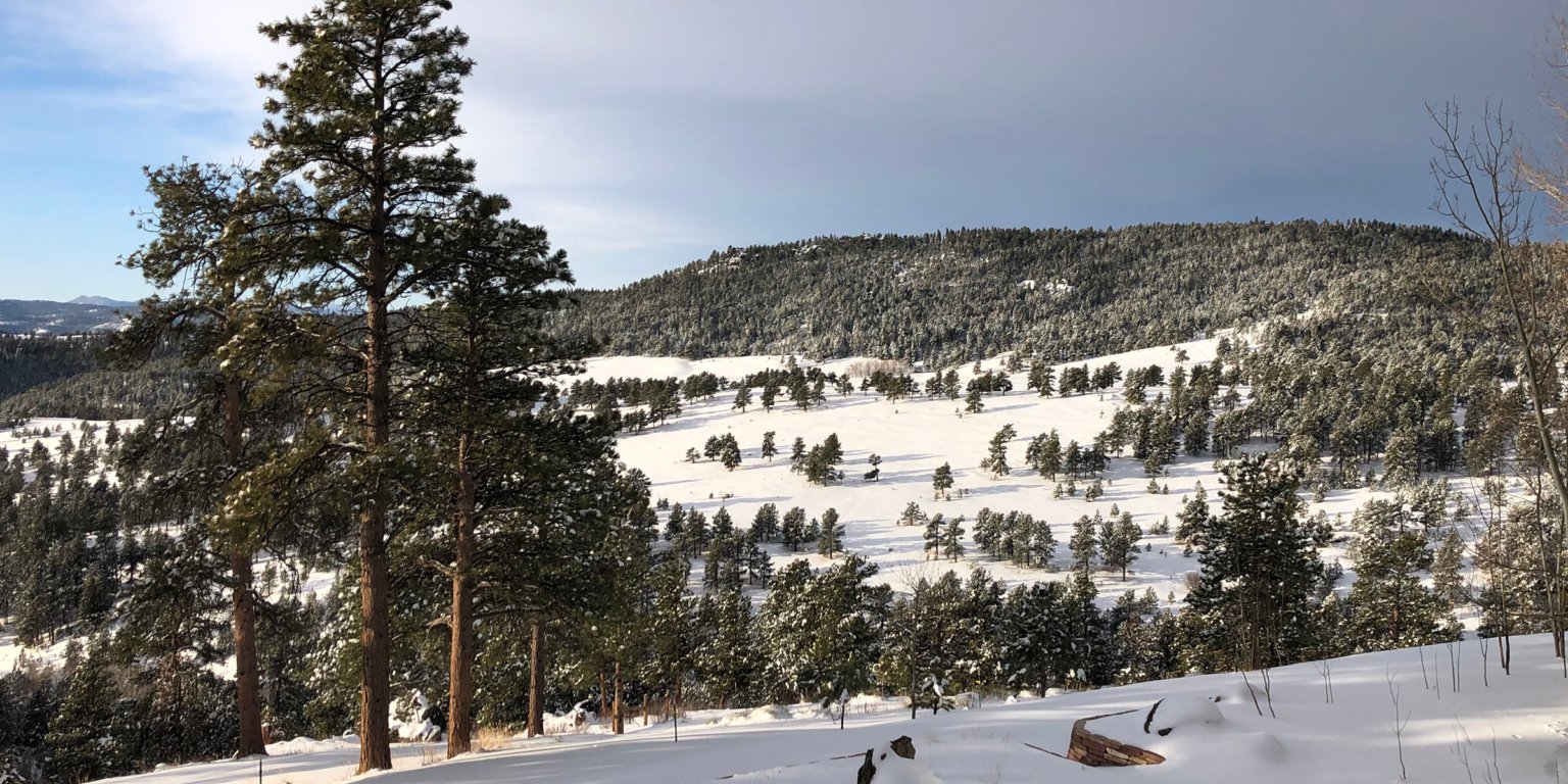 Golden Gate Canyon in winter